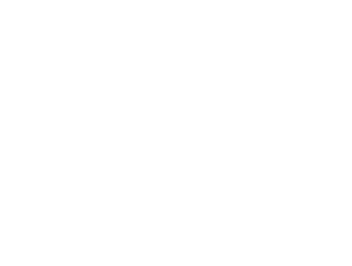Necios